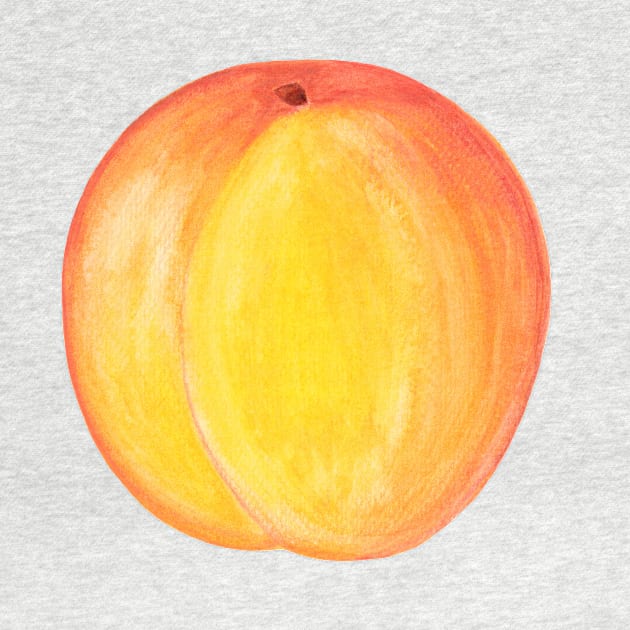 Peach  ~ Watercolor Fruit Painting by aurin